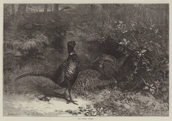 De Maanden, Oktober